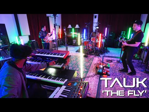 TAUK - The Fly (Live in Studio)