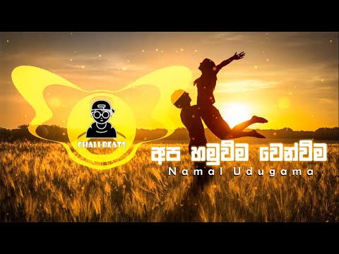 Apa Hamuweema Wenweema CHILL REMIX (අප හමුවීම වෙන්වීම)/ Namal Udugama / CHALI BEATS