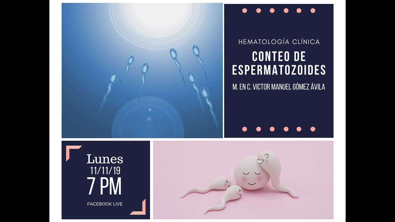 Conteo de espermatozides en la cámara de Neubaur