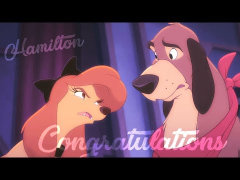 [Hamilton] The fox and the hound - Congratulations