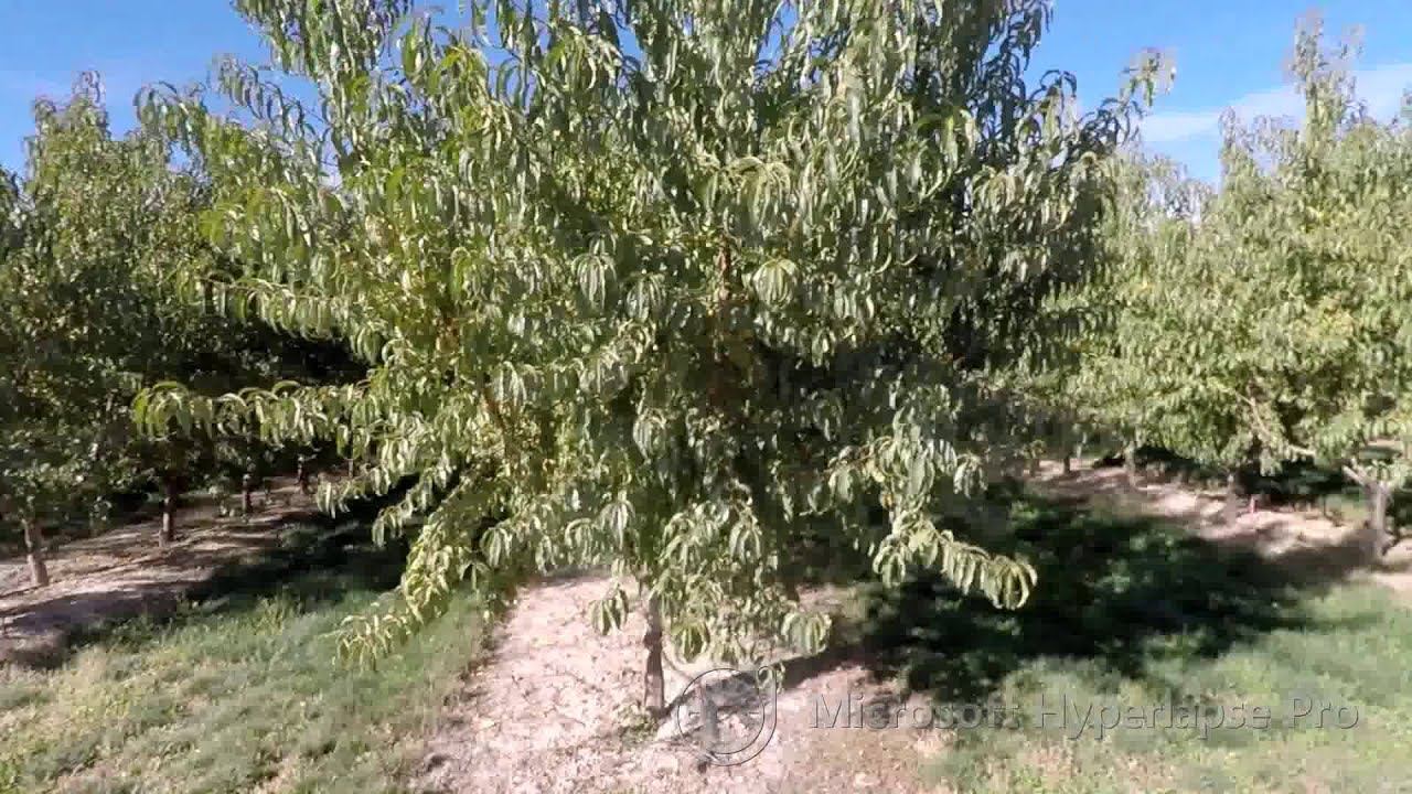 Video: GOPR5666 hyperlapse 2x1080 25 adv