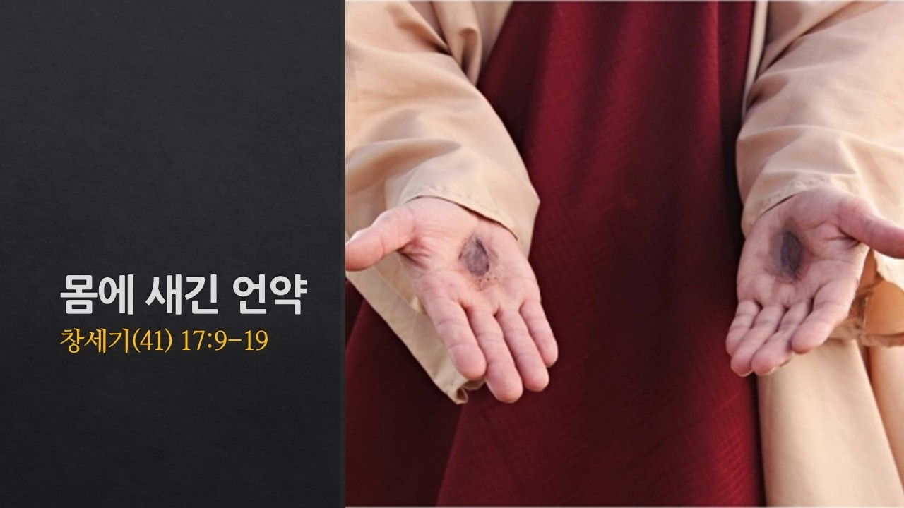 설교기본이미지