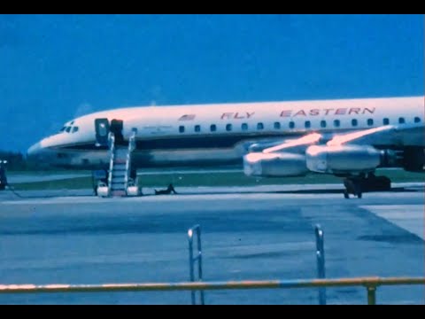 Eastern Air Lines Golden Falcon scheme Jet Fleet