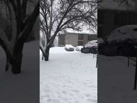 02-17-2021 más nieve ❄️ en Little Rock ARKANSAS