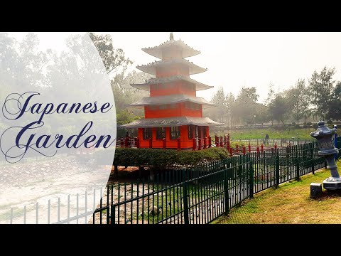 Japanese Themed Garden | Chandigarh | Sector 31| Yashree
