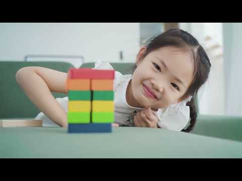 5467   PLANTOYS FRACTION BLOCKS - UNIT PLUS