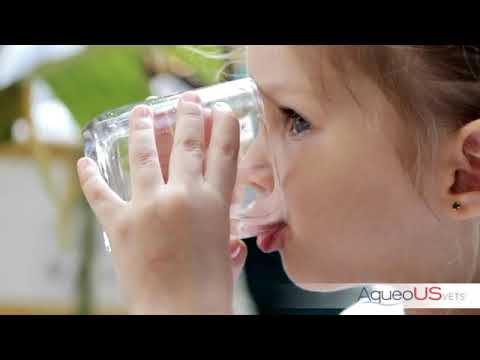 Better Water, Better Life: The AqueoUSVets® Purpose