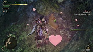 【MHW】上手に撫でました「モンスターハンターワイルズ」Monster Hunter Wilds