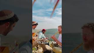 איילה מה לי ולה?