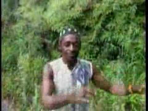 Kintueni Tunga Nzola