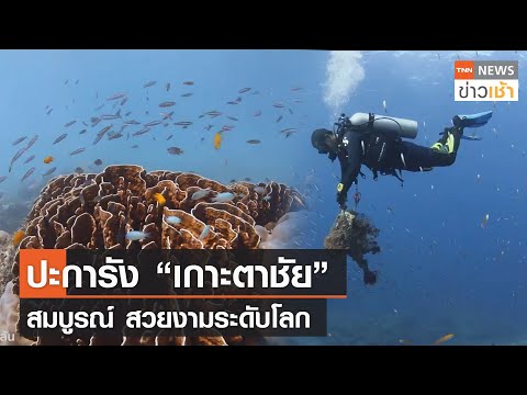 Koh Tachai