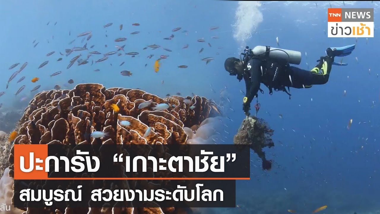 Koh Tachai