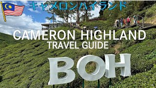 CAMERON HIGHLANDS TRAVEL GUIDE キャメロンハイランド おすすめ観光BOH TEA CENTER Strawberry Park Resort Hotel KL観光