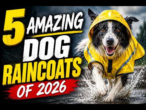5 AMAZING Amazon Dog Raincoats of 2026 (no junk!) - You Won't Believe These! Amazon Finds