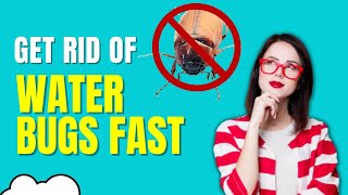 How To Get Rid Of Waterbugs In House (Fast Natural Home Remedies) - Top Repellents