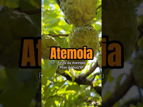 Festa da Atemoia em Pilar do Sul/SP #atemoia #pilardosul