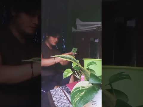 Terlalu Sayang untuk Dilepas #shorts #videoshort #kisahnyata #trending