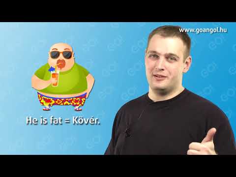 GO! Angol - 2. rész - kezdő szint- Létigék  (ingyenes ajándékfejezet:  2 / 1300)