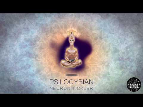 Psilocybian - Third Eye Itch (Official Video)