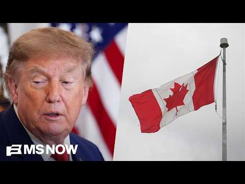 'Undermining America' on global stage: Economist TORCHES Trump's tariff disaster