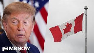 'Undermining America' on global stage: Economist TORCHES Trump's tariff disaster