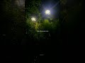O Meri Laila Status O Meri Laila Status Full Screen 4k O Meri Laila Status Video