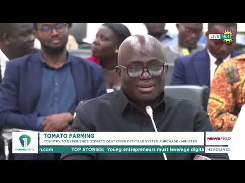 TOMATO GLUT COMING IN 4 MONTHS – Eric Opoku Reveals Government Plan