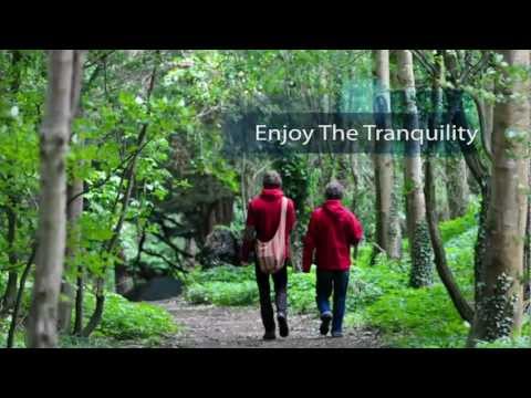 Manjushri Kadampa Meditation Centre - New Kadampa Tradition