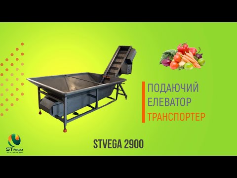 Транспортер-конвейер для подачи овощей в моечную машину, с бункером для замачивания - фото 1 - id-p2229422197