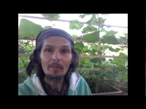 comment soulager un abcès sur la gencive