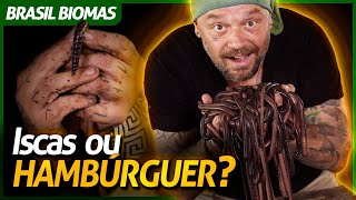 Miniatura do vídeo