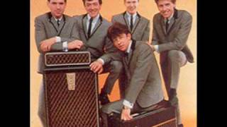 Too Many People - The Hollies