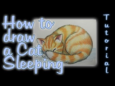 How to draw a Cat Sleeping - YouTube