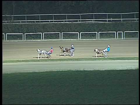 Trotto 30/10/2016 - corsa pony