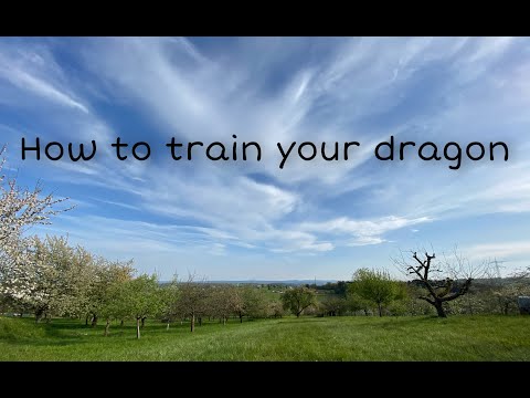 How to train your dragon - John Powell MVE Busenbach Konzert 2018