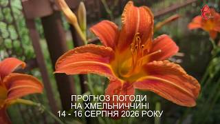 Погода на вихідні: з якими температурами прийде екватор серпня