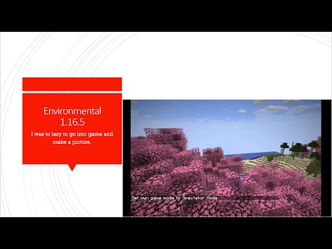 Environmental 1.16.5 mod showcase