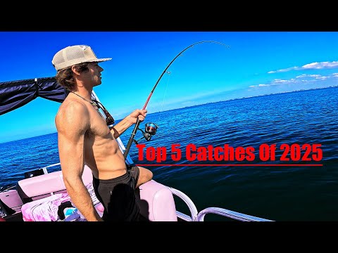 Top 5 Catches of 2025