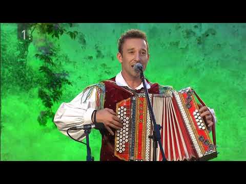 Ans. Jerneja Kolarja - Vrh planin