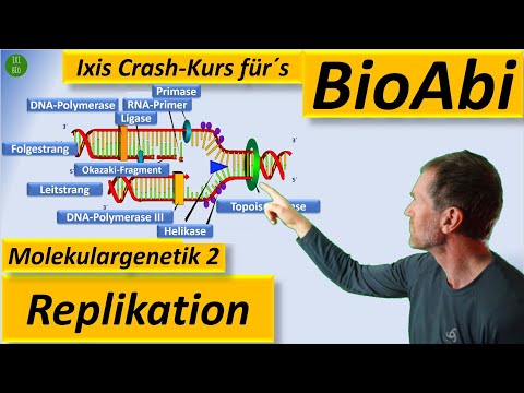 Molecular Genetics 2 DNA Replication - Application Tasks Explained Step by Step - Fit for the Bio...