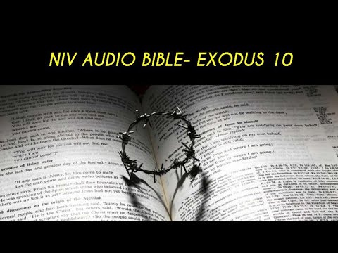 EXODUS 10 NIV AUDIO BIBLE (with text)
