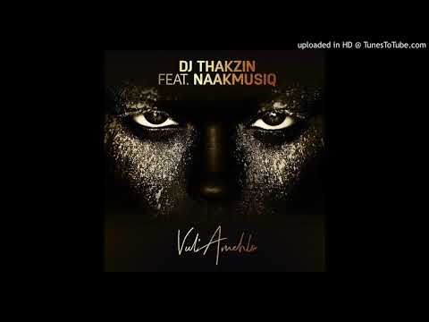 Dj Thakzin Ft. Naak Musiq - Vul'amehlo