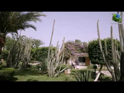 Shams Safaga Beach Resort 4*