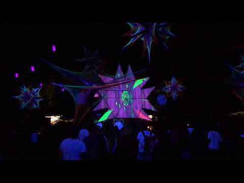 Mentalecho Live@Forrest Explosion SNT2019