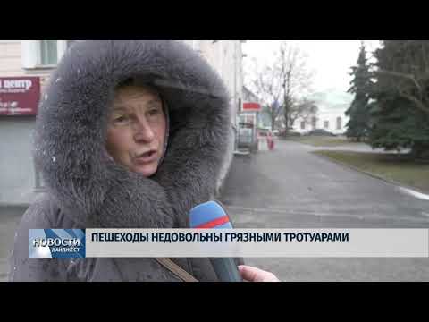 Новости Псков 23.01.2020 / Активисты "Убитых дорог" собрали грязь с городских обочин