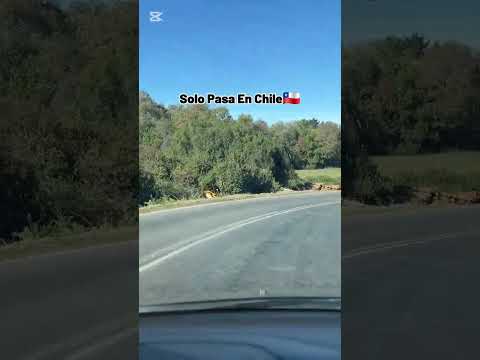 SOLO PASA EN CHILE 🇨🇱 Los apurados terminaron fuera... el veterano les cerró la boca 🚛😳 #chile