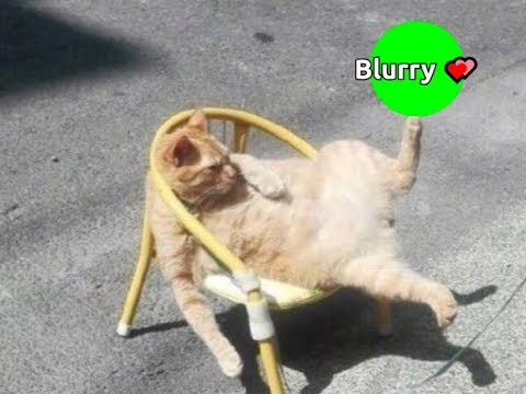 download lagu mp3 mp4 Agar Io Chats, download lagu Agar Io Chats gratis, unduh video klip Agar Io Chats