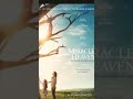 Third day your words ( miracles from heaven ) audio