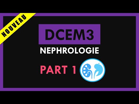 Néphrologie [Conférence] - DCEM3 - Part 1