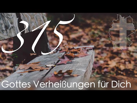 Gottes Verheißungen für Dich - Galater 5,16 | Videokalender 315/365 - Deutschland braucht JESUS